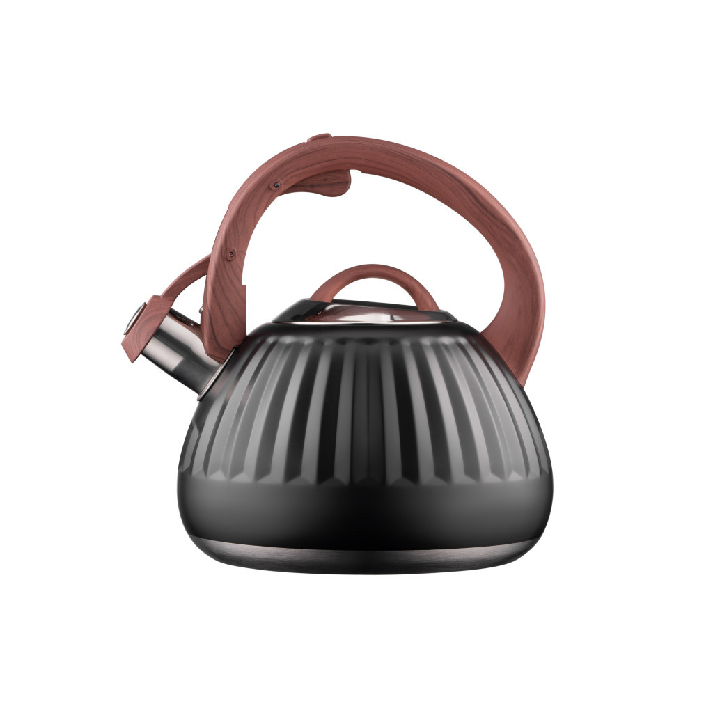 Чайник Ardesto Gemini 2.5 л Чорний (AR1958KS) - зображення 7