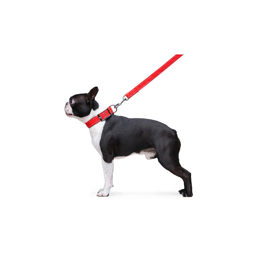 Повідець для собак Dog Extreme з нейлону подвійний Ш 20 мм Д 122 см червоний (42983) - зображення 5