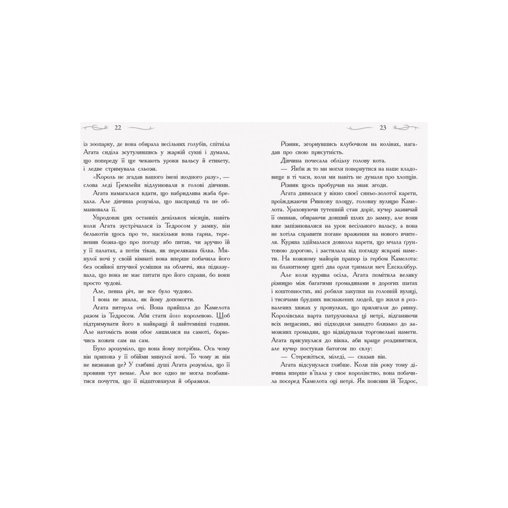 Книга У пошуках слави. Книга 4. Школа добра і зла - Зоман Чейнані Ранок (9786170960016) - зображення 8