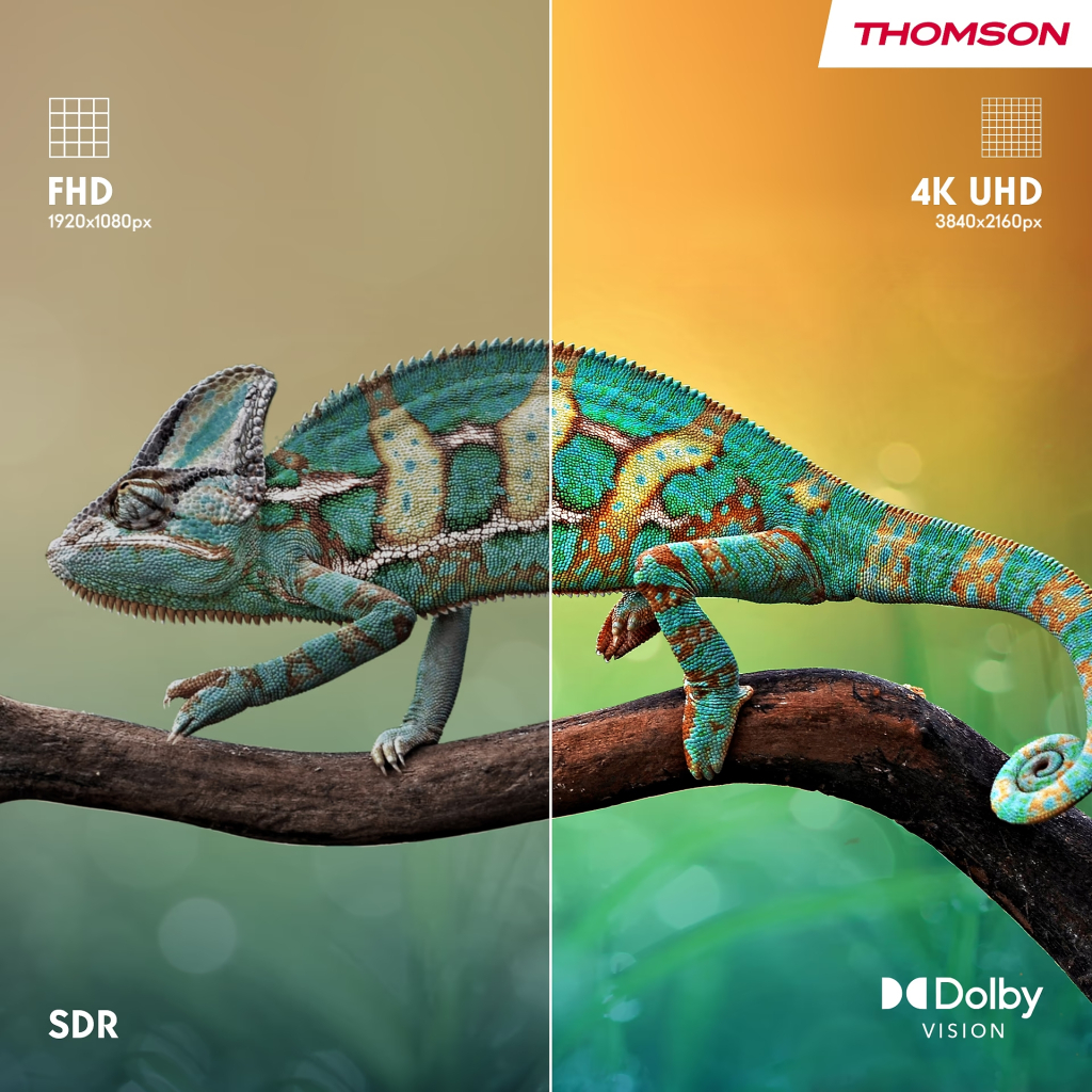 Телевізор THOMSON 43MG7C15 - зображення 5