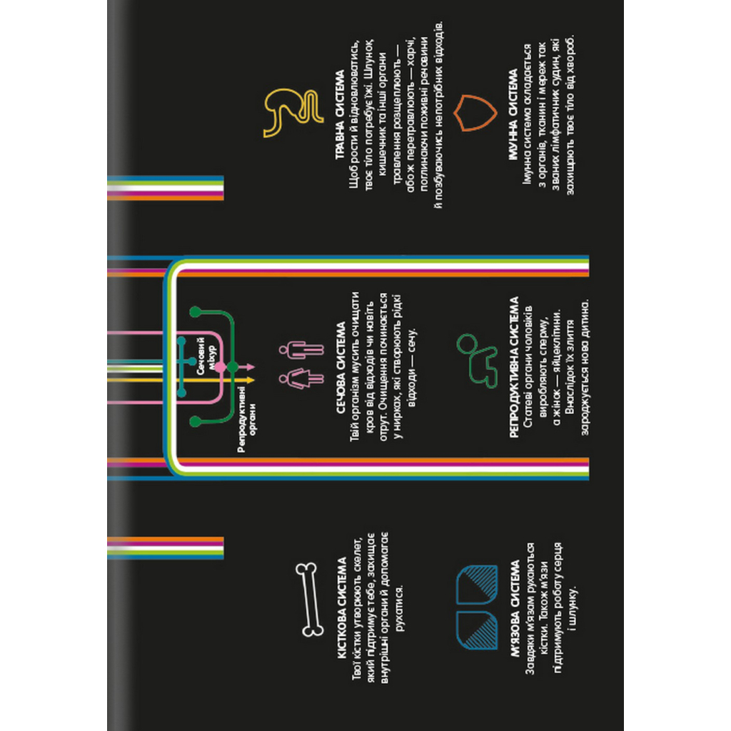 Книга 100 фактів про людське тіло #книголав (9786178012090) - зображення 8