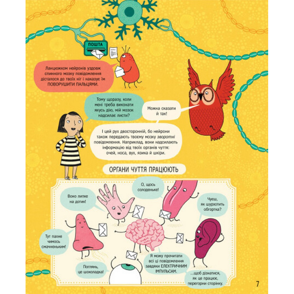 Книга Книжка про мозок і те, як він працює - Бетіна Іп #книголав (9786178012243) - зображення 7