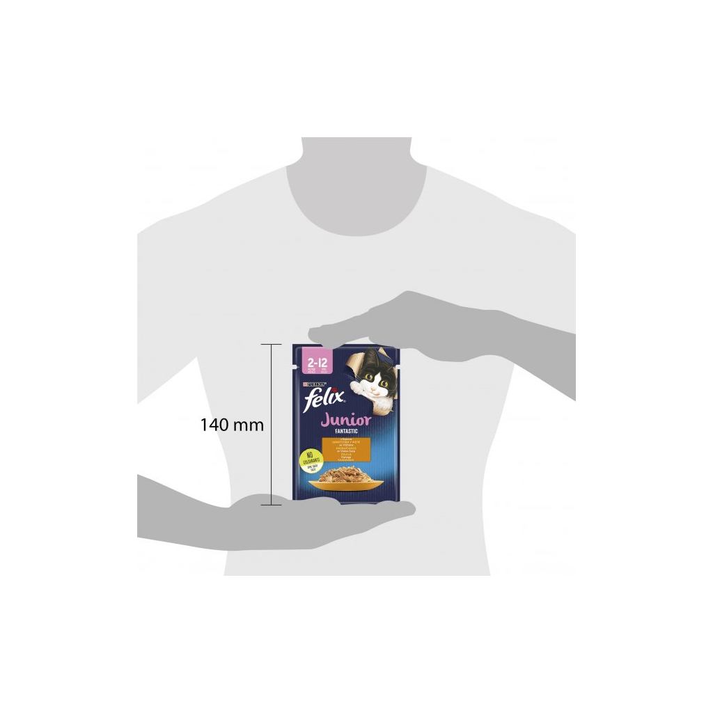 Вологий корм для кішок Purina Felix Fantastic Junior з куркою в желе 85 г (7613039832189) - зображення 5