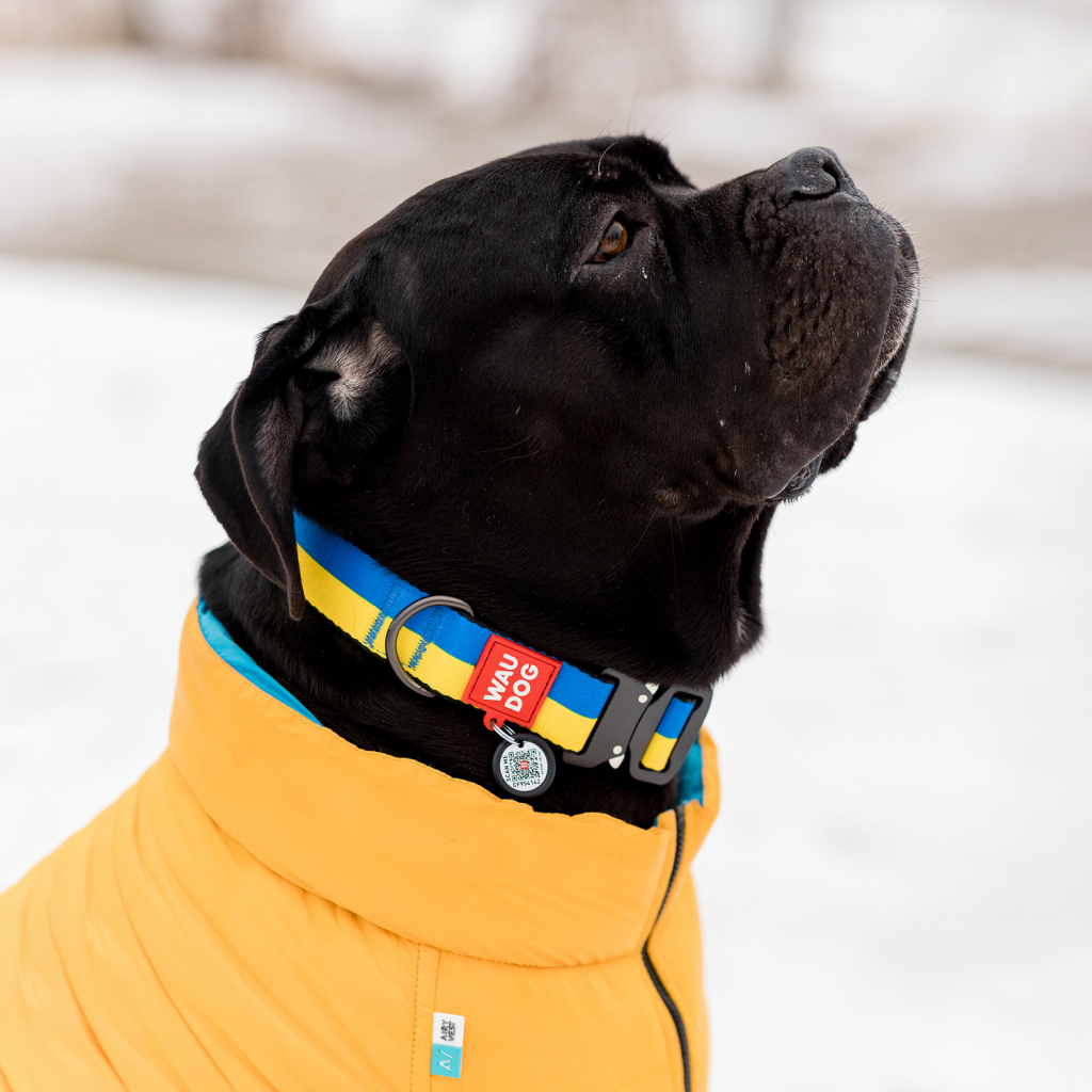 Нашийник для тварин WAUDOG Nylon з QR паспортом Colors of freedom пластиковий фастекс S (4501-4020) - зображення 7