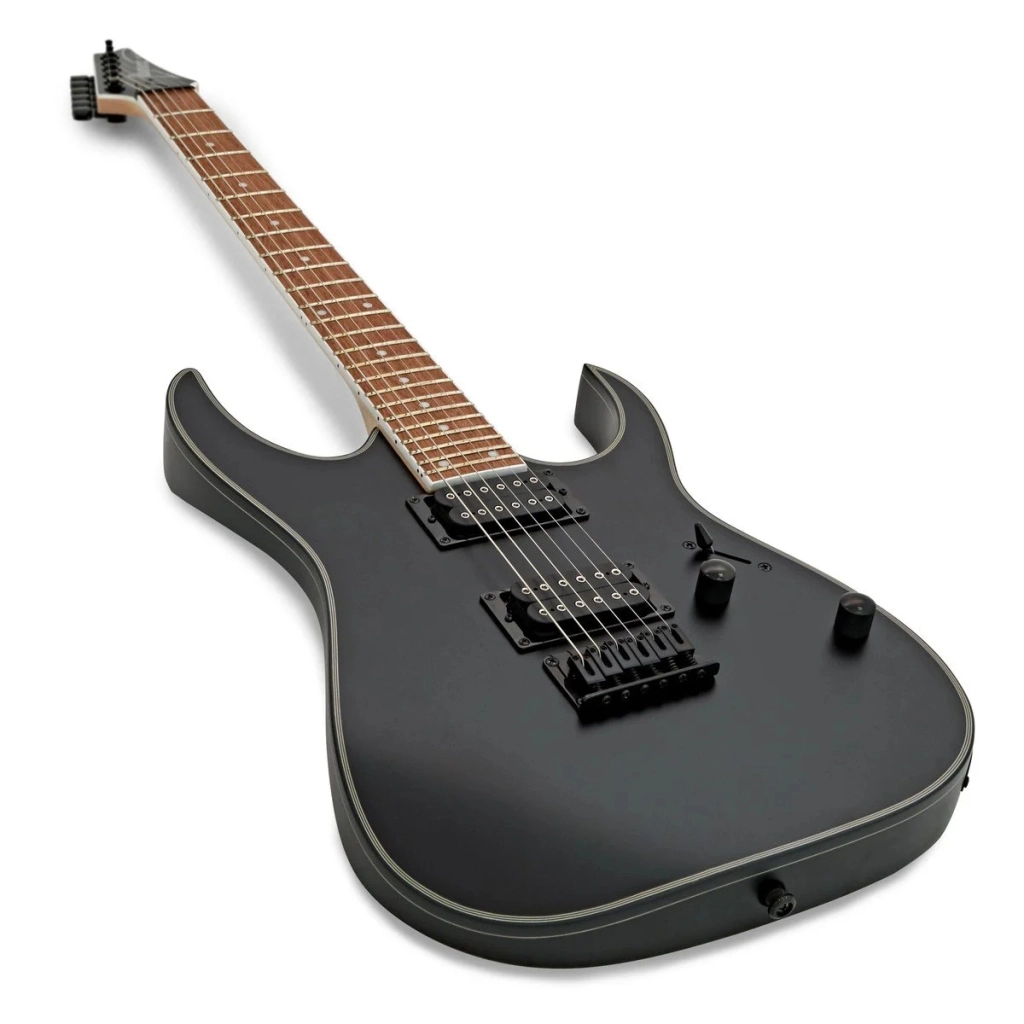 Електрогітара Ibanez RG421EX BKF (220670) - изображение 4