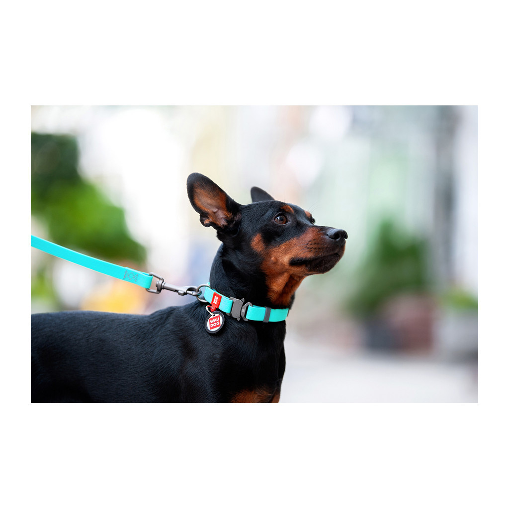 Нашийник для тварин WAUDOG Waterproof з QR металічна пряжка-фастекс Ш 25 мм Д 38-58 см ментоловий (2783) - изображение 4