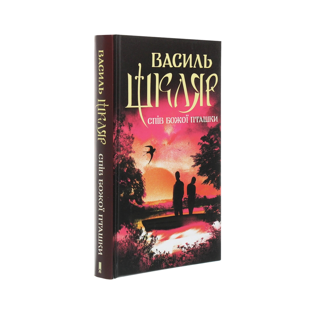 Книга Спів Божої пташки - Василь Шкляр КСД (9786171281141) - зображення 3