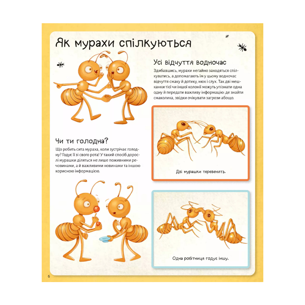 Книга Світ мурах - Штєпанка Секанінова Vivat (9786171703186) - зображення 7