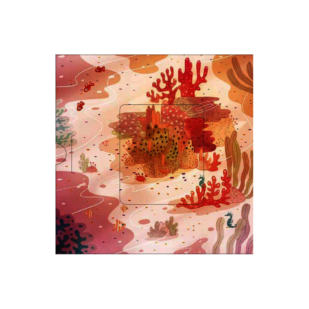 Книга Хто ховається між листям й у воді? - Павла Ганачкова #книголав (9786177563999) - зображення 8