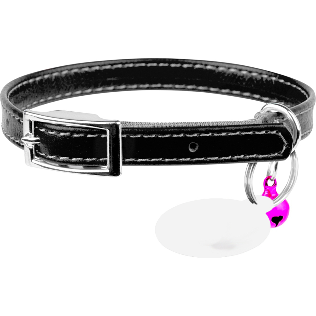 Нашийник для тварин WAUDOG Glamour з QR паспортом Д 22-30 см чорний (32481) - зображення 1