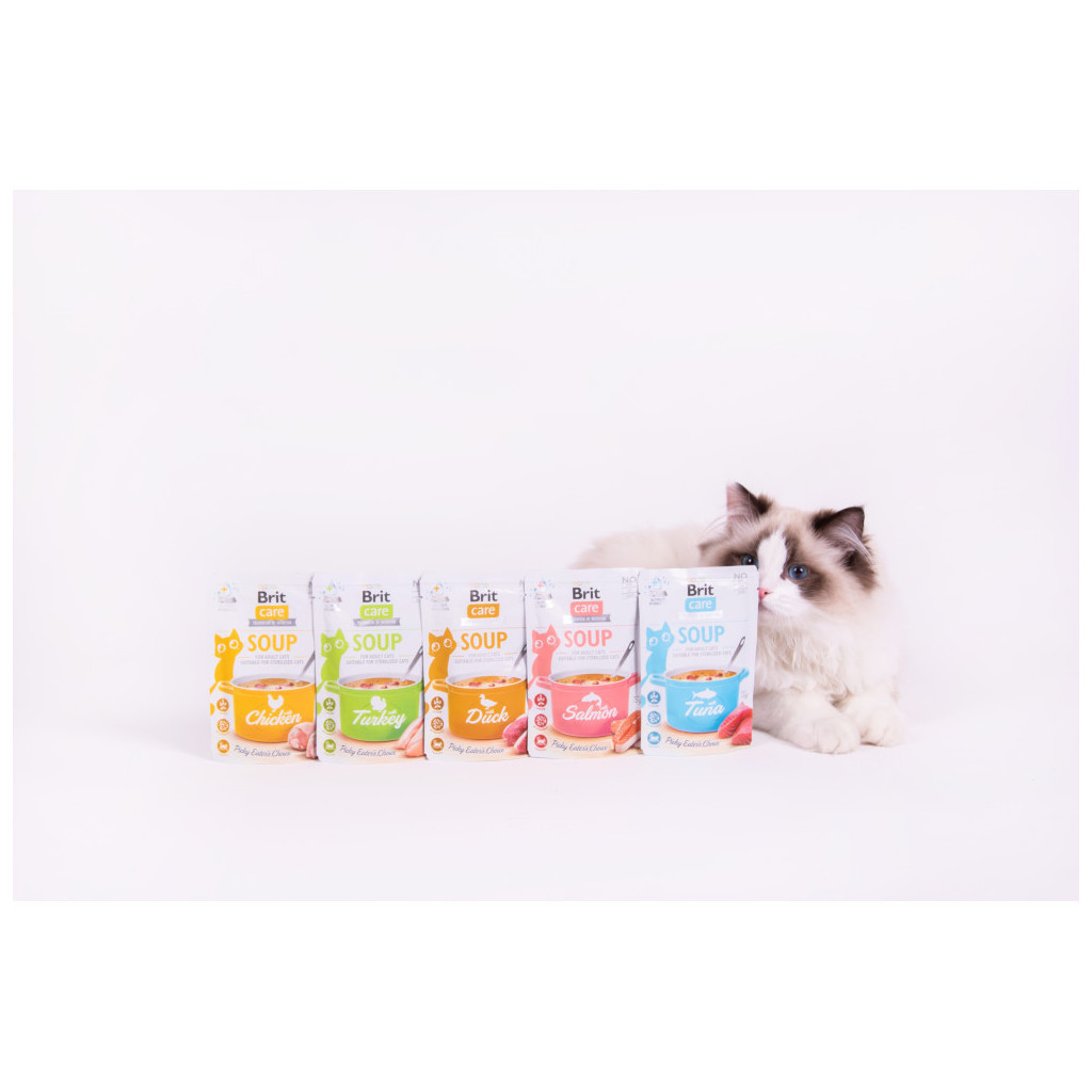 Вологий корм для кішок Brit Care Soup with Salmon з лососем 75 г (8595602569212) - зображення 6