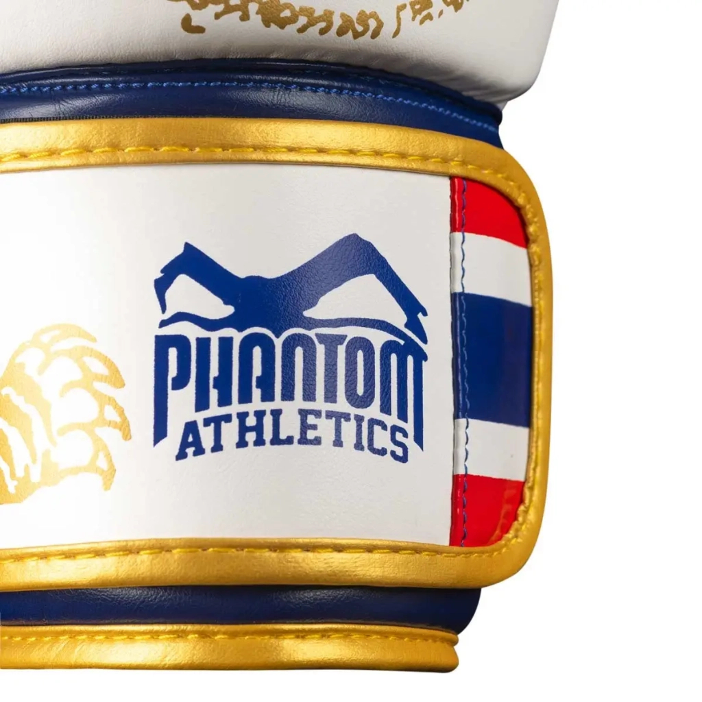 Боксерські рукавички Phantom Muay Thai Gold 14 унцій (PHBG2590-14) - зображення 6