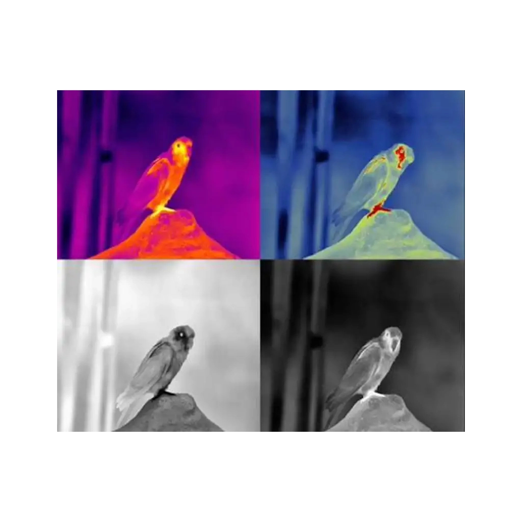 Монокуляр Guide Тепловізійний TD210 256x192px 10mm (TD210) - зображення 5