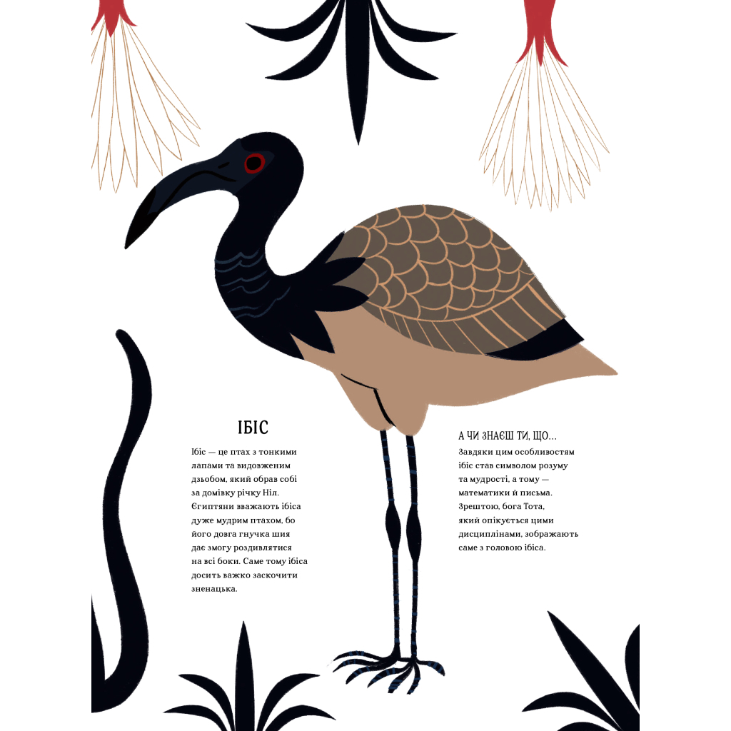 Книга Атлас міфів. Про богів і героїв усього світу #книголав (9786177820429) - зображення 9