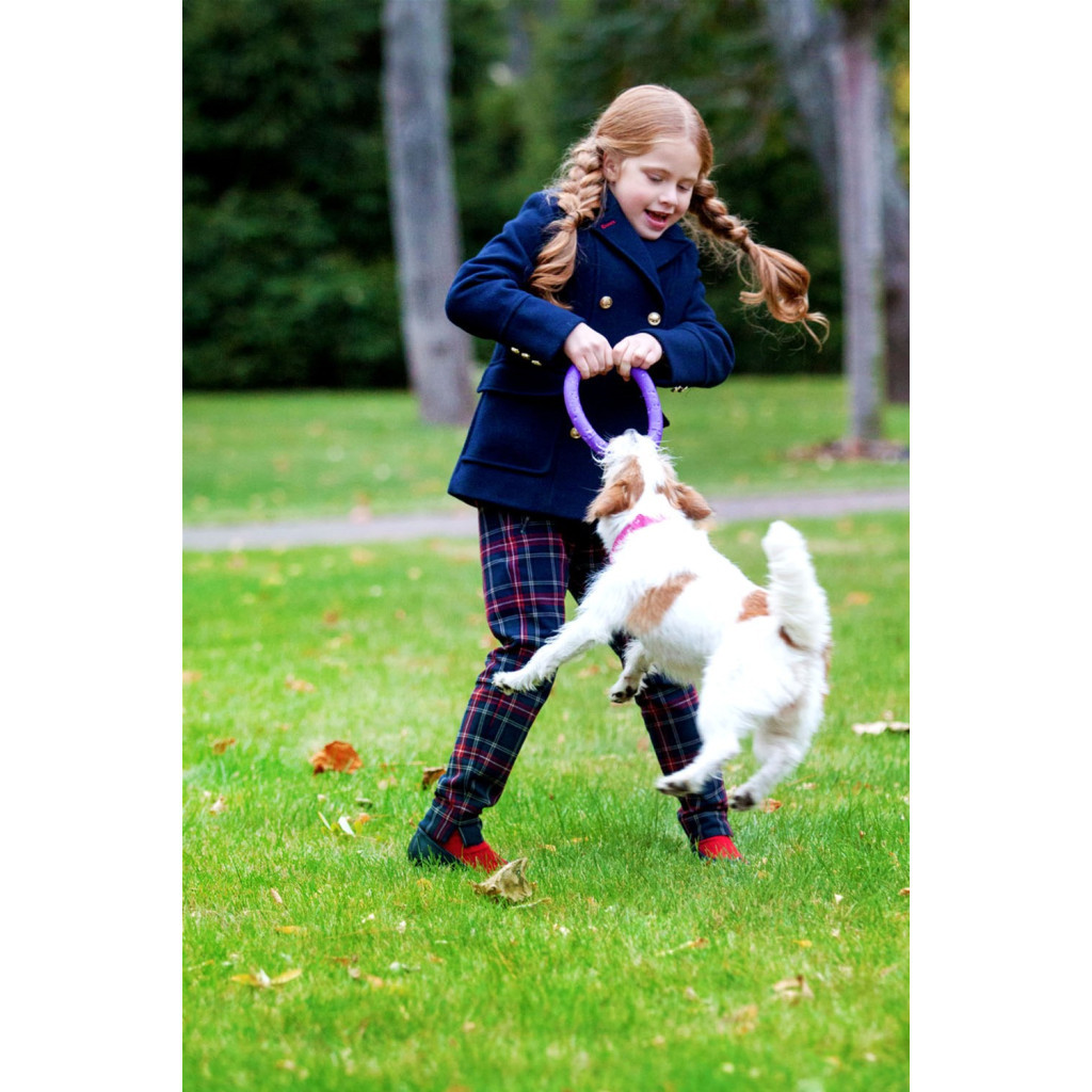 Іграшка для собак Puller Mini 18 см (6491) - зображення 12