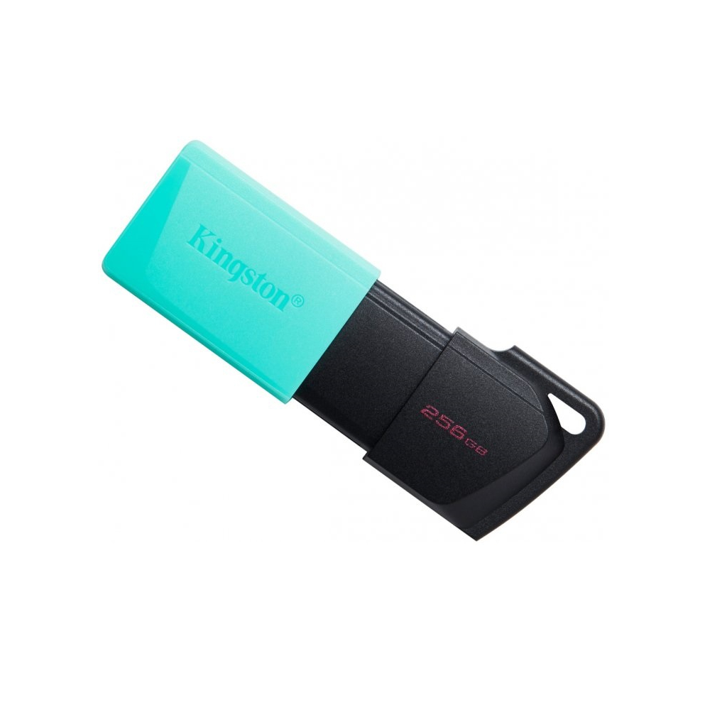 USB флеш накопичувач Kingston 256GB DataTraveler Exodia M USB 3.2 (DTXM/256GB) - зображення 1
