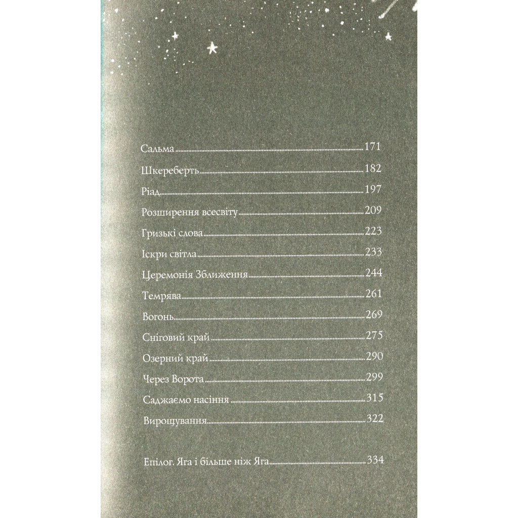 Книга Хатина на курячих лапах - Софі Андерсон Жорж (9786177579778) - зображення 4