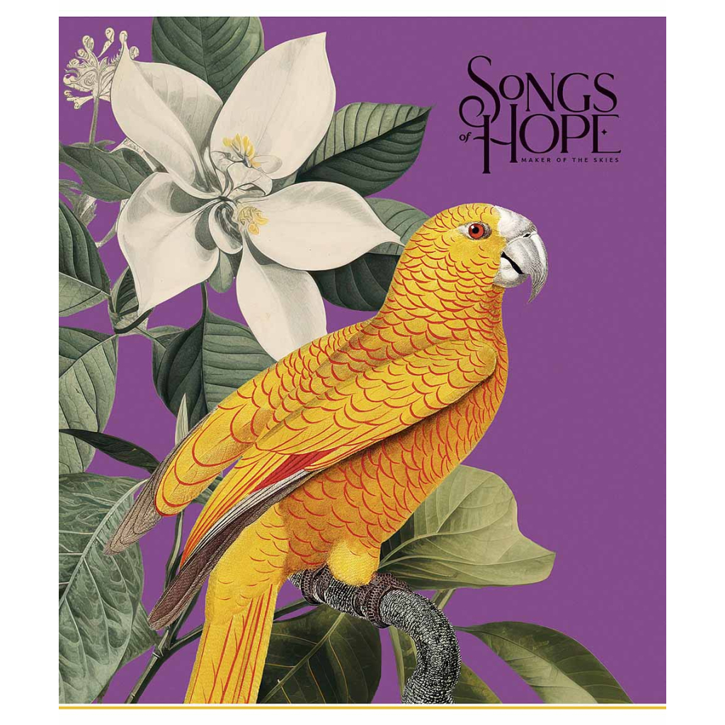 Зошит Школярик Birds 60 аркушів клітинка (060-3410K) - зображення 3