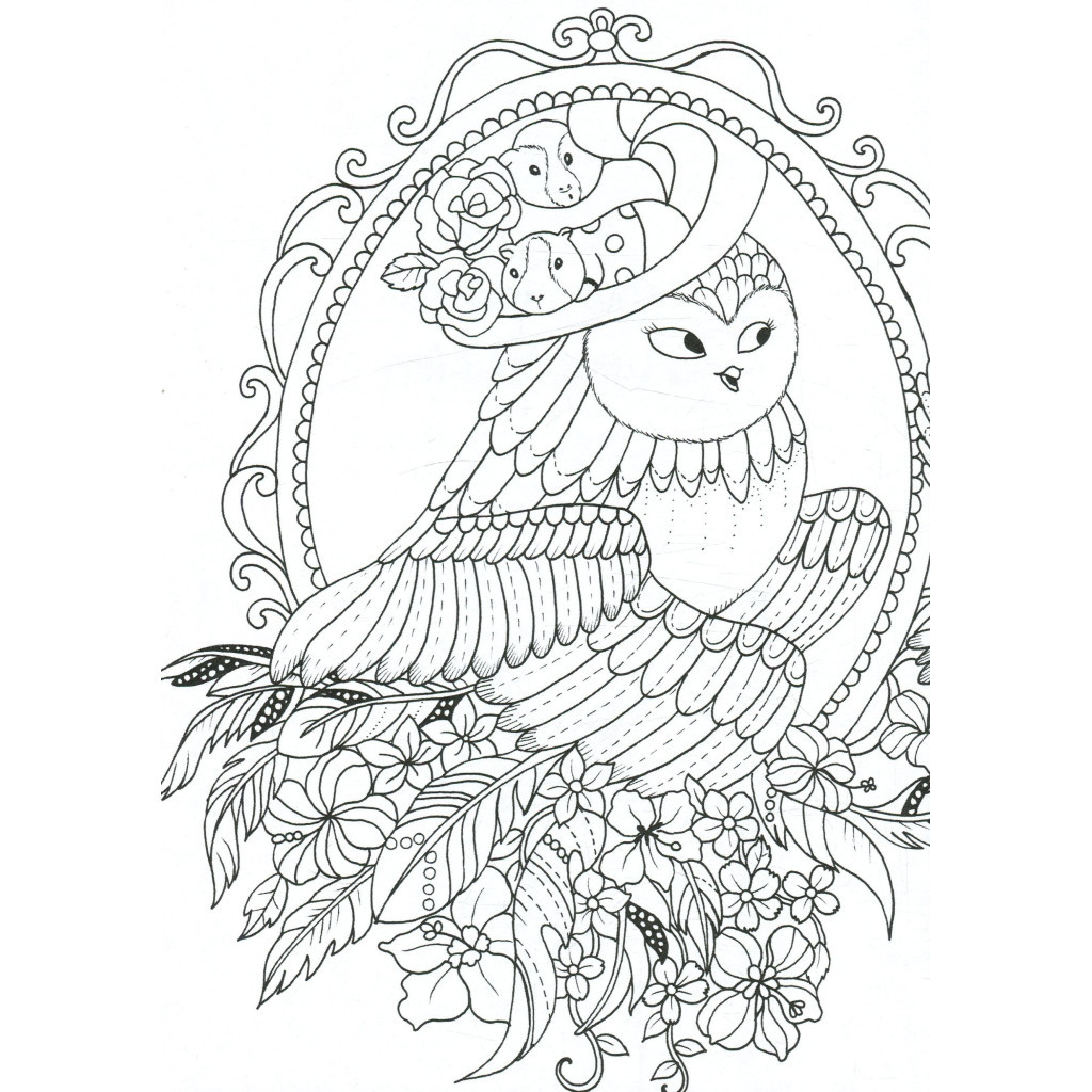 Книга Майже мільйон сов - Лулу Майо Жорж (9786177579006) - зображення 3