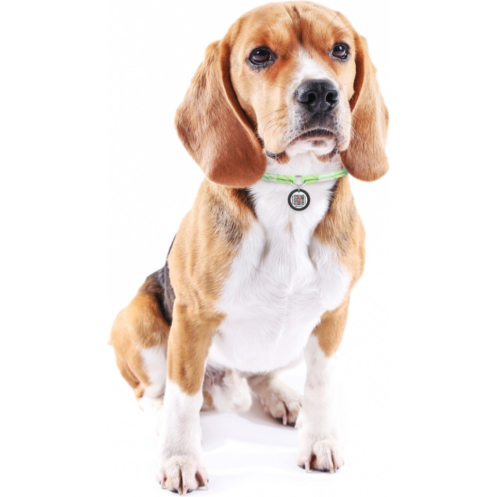 Шнурок для адресника WAUDOG Smart ID світловідбивний S 25-45 см салатовий (60405) - зображення 4