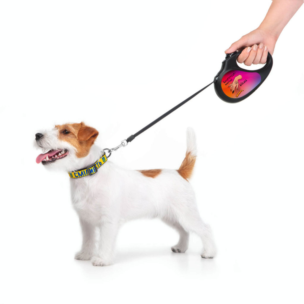 Повідець для собак WAUDOG R-leash Конотопські магічні війська світловідбиваюча стрічка M 5 м (8125-0232-01) - зображення 6