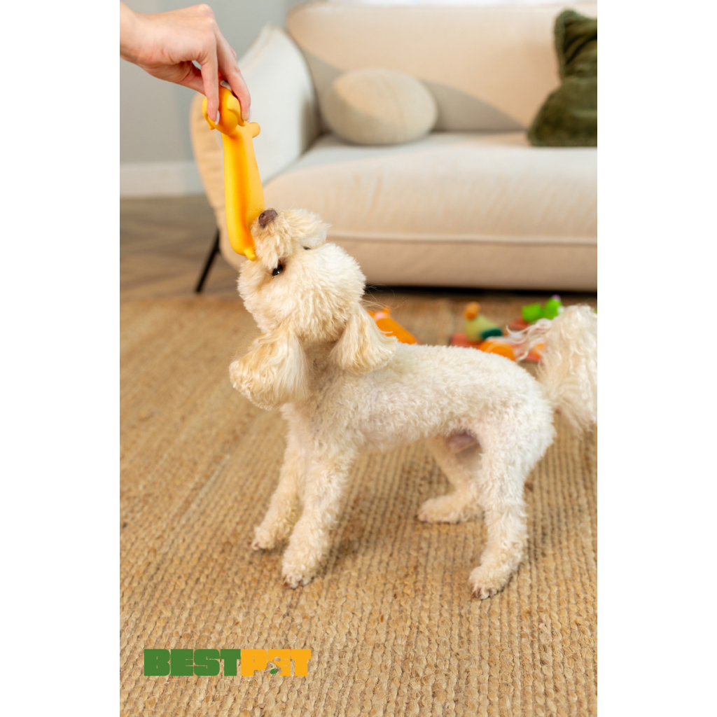 Іграшка для собак MISOKO&CO Собака коричневий 21 см (BEIRJ02939) - зображення 3