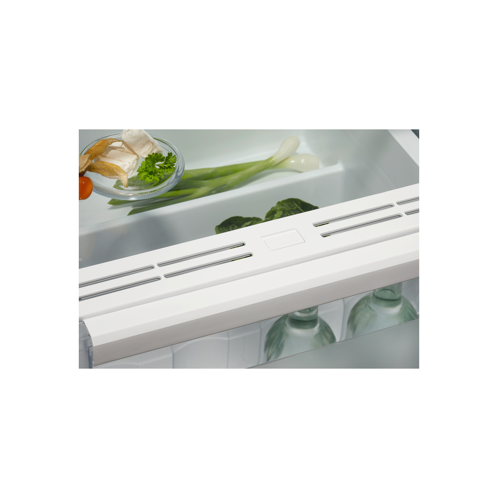 Холодильник Electrolux ERD6DE18S4 - зображення 4
