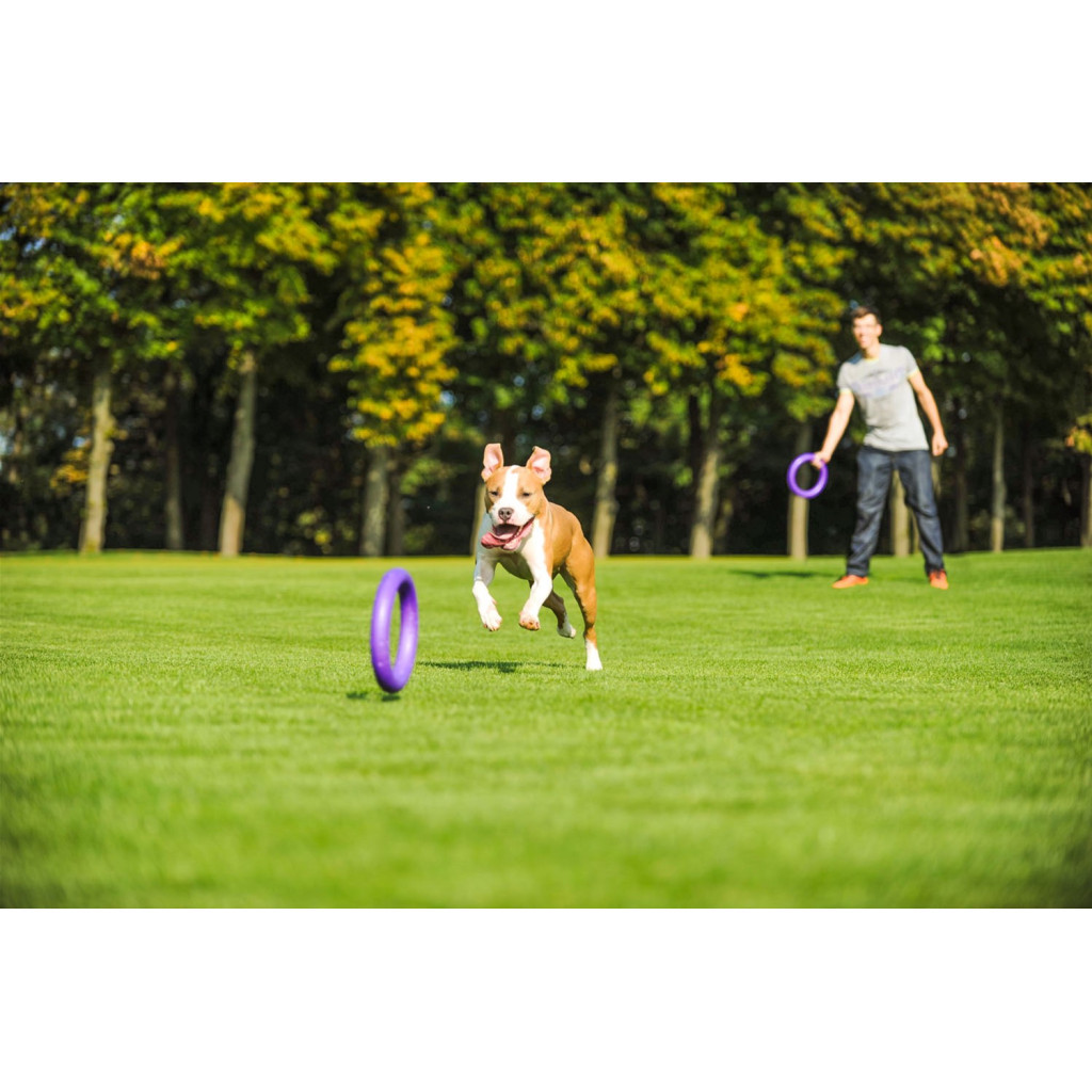 Іграшка для собак Puller Standard Тренувальний снаряд 28 см 2 шт (6490) - зображення 9