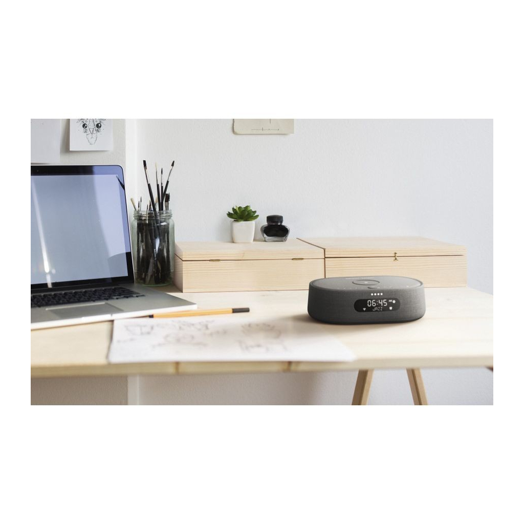 Акустична система Harman Kardon Citation Oasis Grey (HKCITAOASISGRYEU) - зображення 8