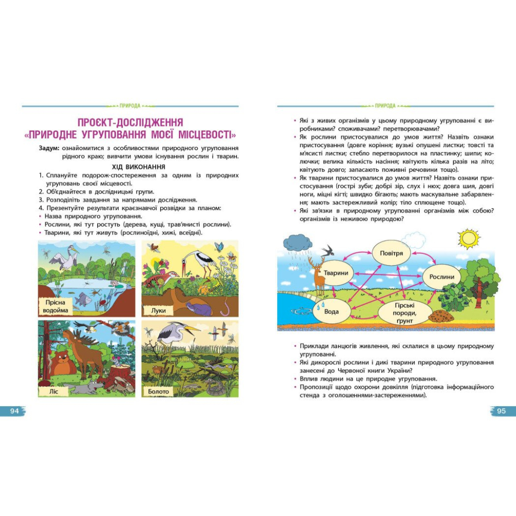 Підручник Я досліджую світ. Для 4 класу ЗЗСО у 2-х частинах. Частина 2 - Н.М. Бібік, Г.П. Бондарчук Ранок (9786170969101) - зображення 6