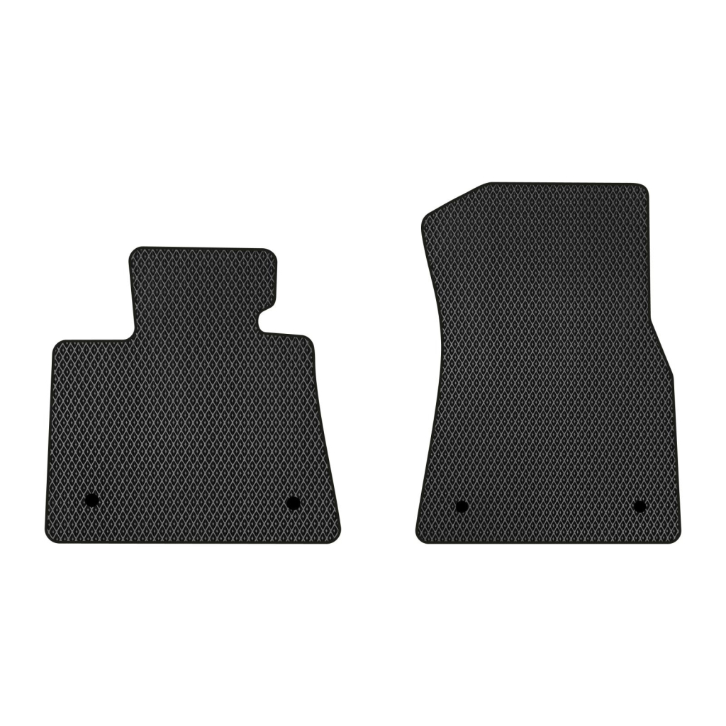 Килимок в салон EVAtech передні BMW X5 (G05) 2018+ 4 поколін (BM1523AB2BW4RBB) - зображення 1