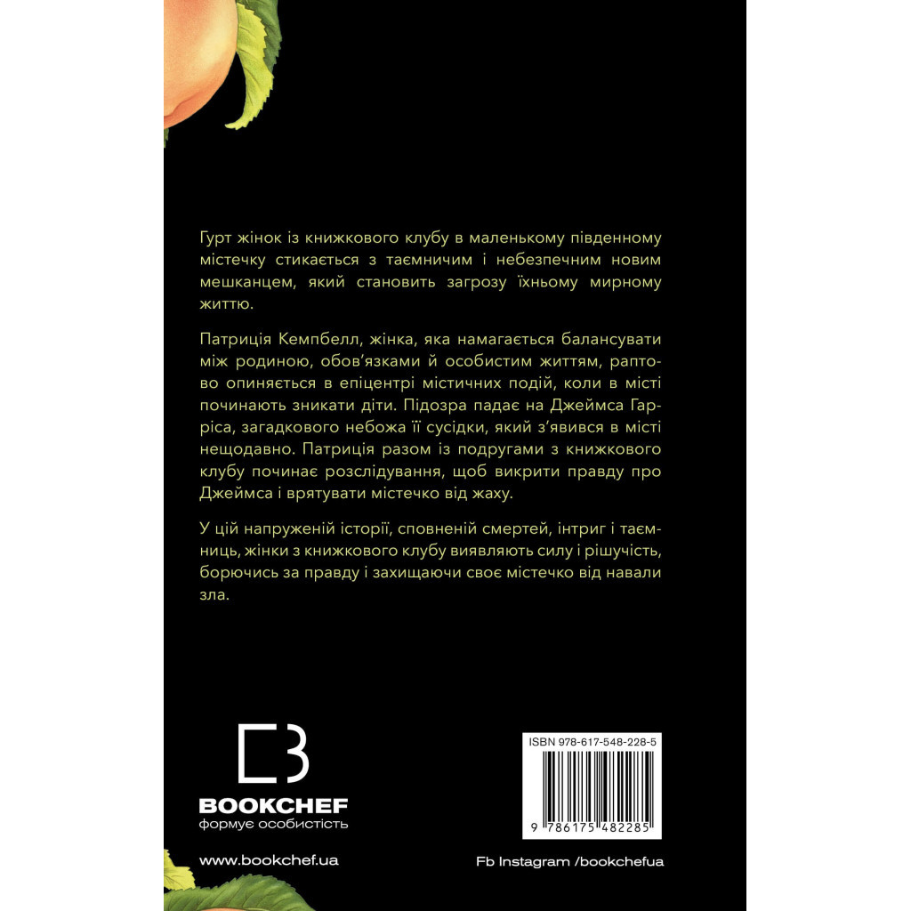 Книга Посібник зі знищення вампірів від Південного книжкового клубу - Ґрейді Гендрікс BookChef (9786175482285) - зображення 3