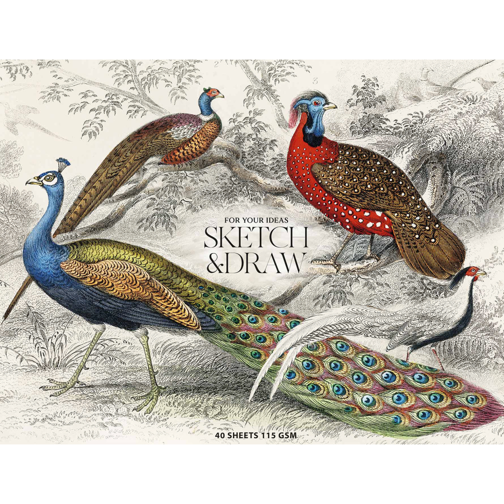 Альбом для малювання Школярик для ескізів та малювання, MUSE А4 40 аркушів 115г/м2 (PB-GB-040-067) - зображення 1