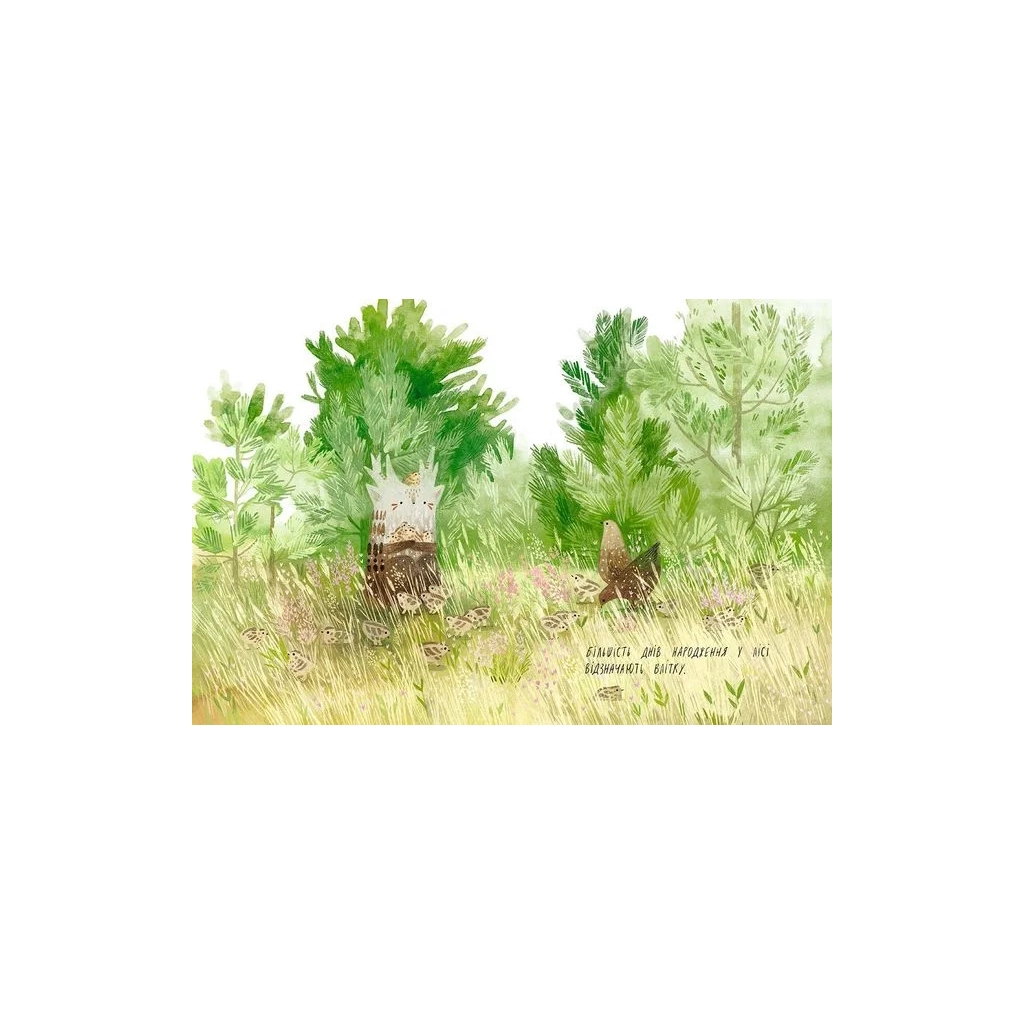 Книга День народження ялинки - Оксана Була Видавництво Старого Лева (9786176796183) - зображення 2