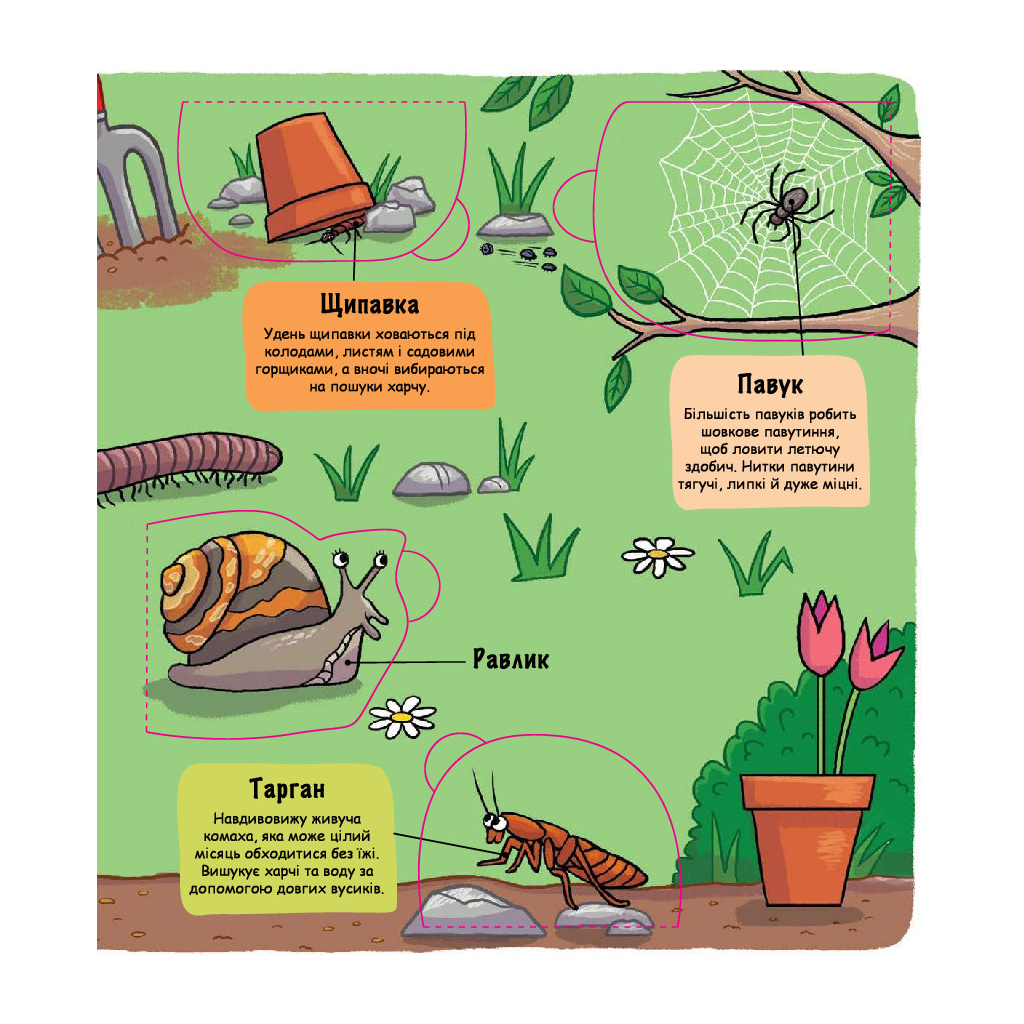 Книга Маленькі дослідники. Комашки #книголав (9786177563845) - зображення 9