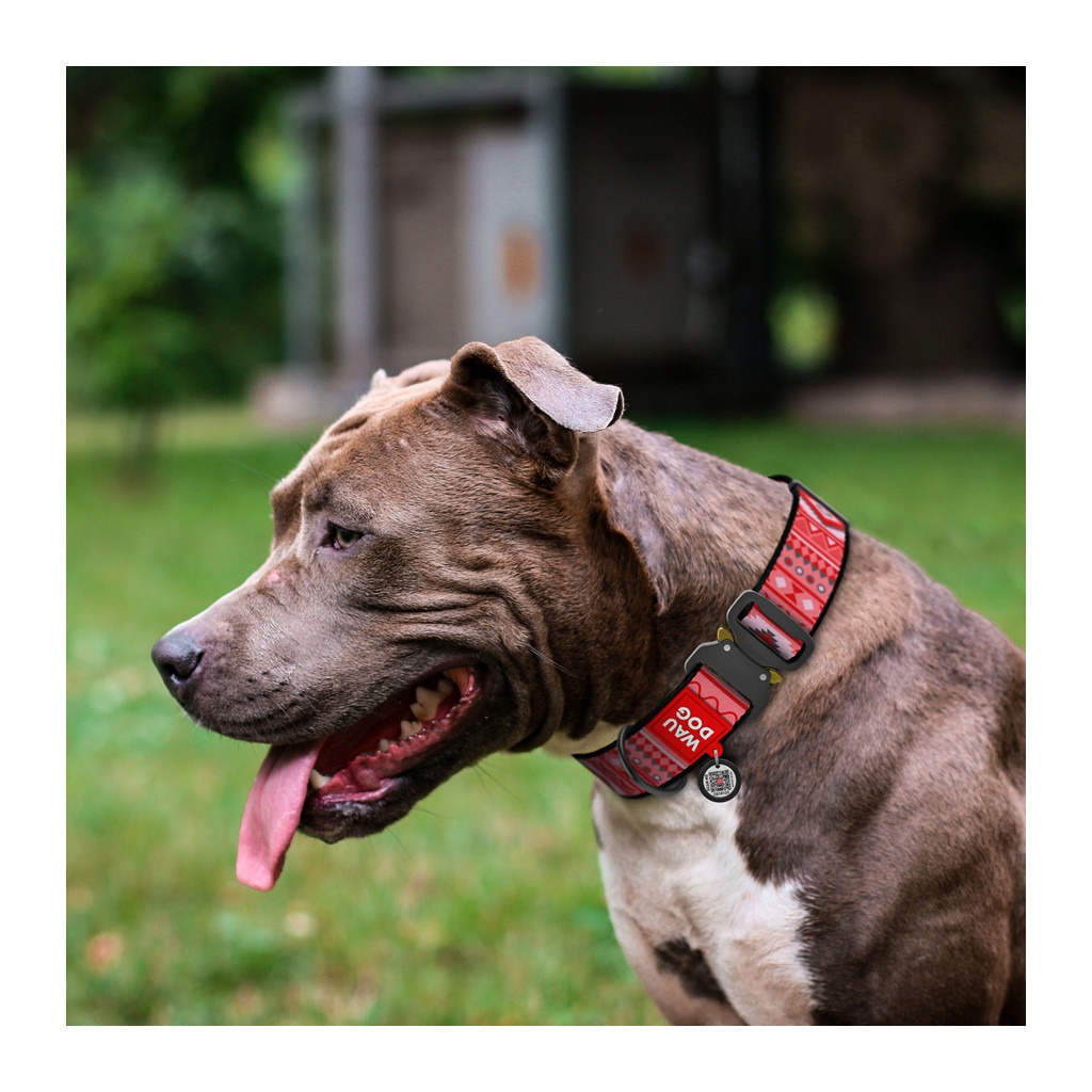 Нашийник для тварин WAUDOG Nylon з QR паспортом "Етно червоний" металева пряжка-фастекс S (5196) - зображення 3