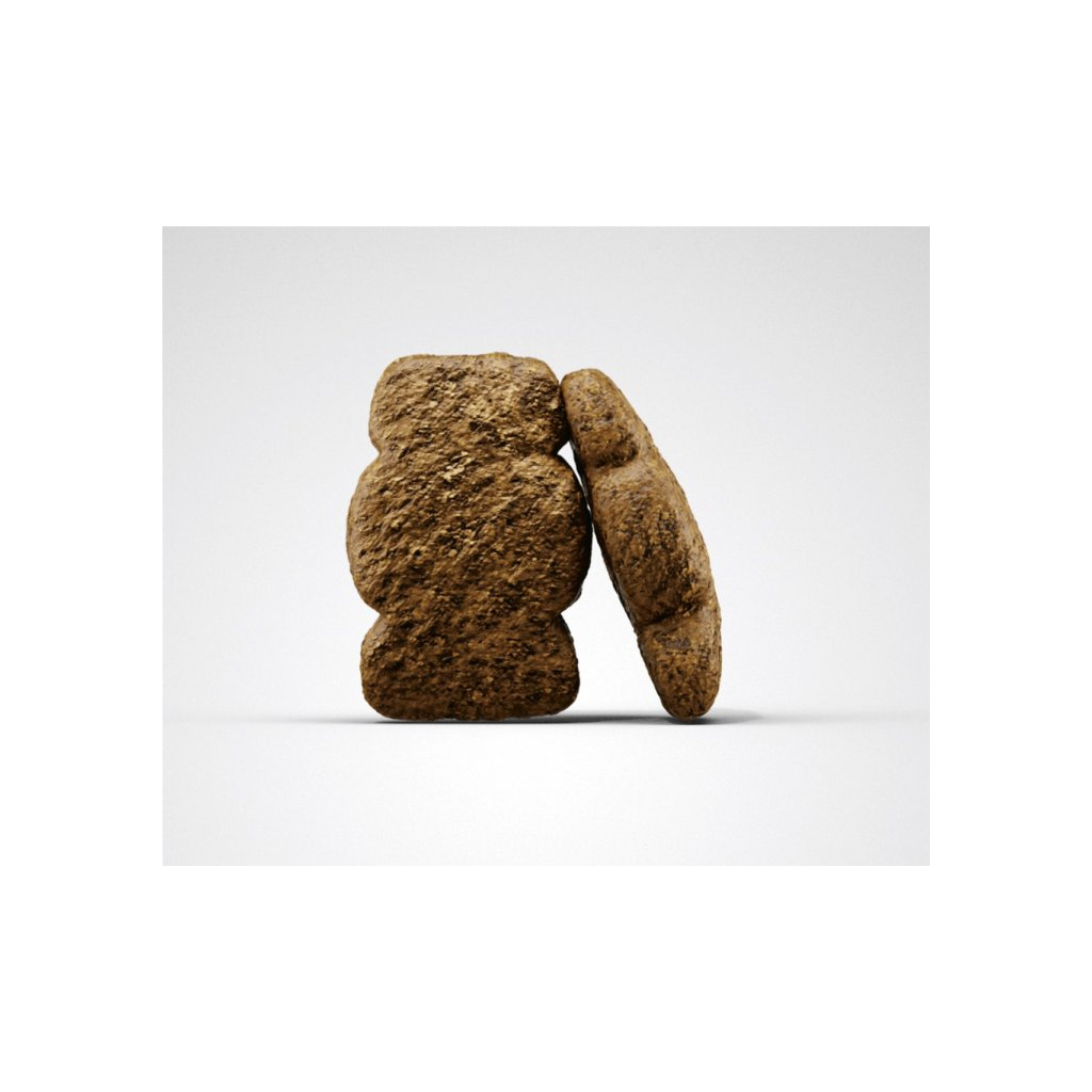 Сухий корм для собак Josera Kids 900 г (4032254745198) - зображення 2