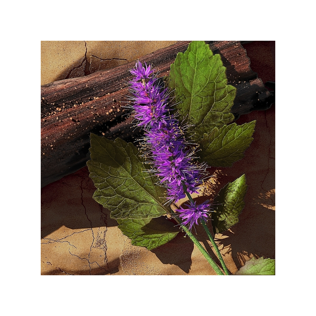 Туалетна вода Davidoff Zino 125 мл (3414202000534) - зображення 3