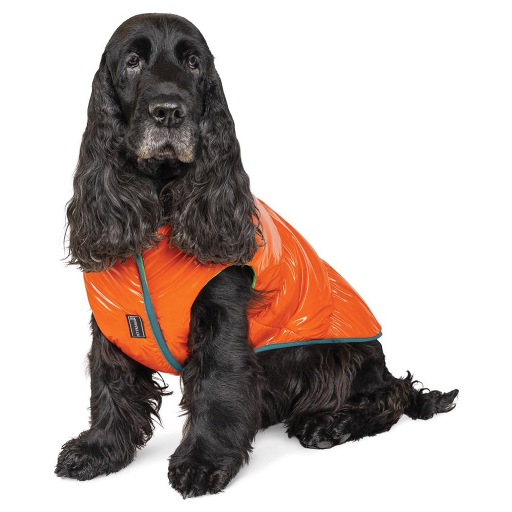 Жилет для тварин Pet Fashion "SPRING" XS-2 жовтогарячий (4823082420452) - зображення 6