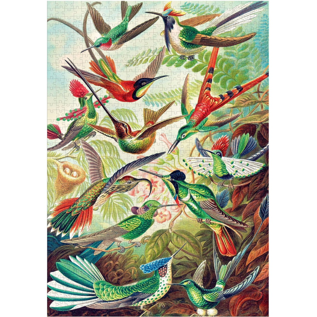Пазл GoodLoot Imagination: Ernst Haeckel Hummingbirds/Kolibry 1000 елементів (5908305246794) - изображение 9