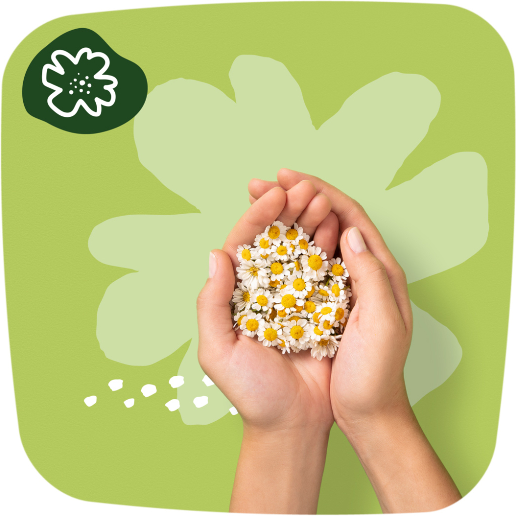 Гігієнічні прокладки Naturella Ultra Normal Plus (Розмір 2) 18 шт. (8006540098257) - изображение 8