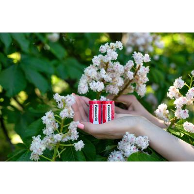 Батарейка Panasonic C R14 RED ZINK * 2 (R14REL/2BPR) - зображення 4