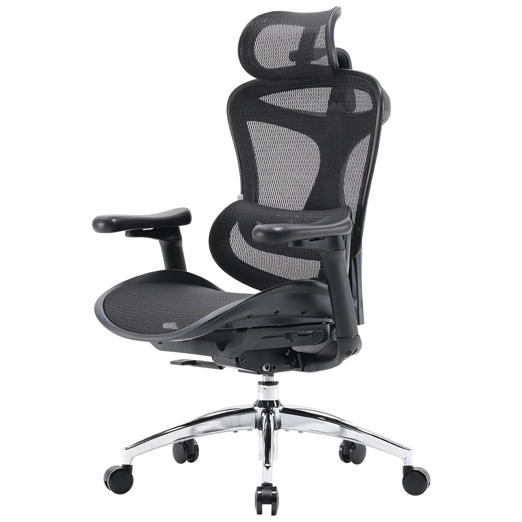 Офісне крісло Sihoo DORO C300L Mesh Black (DORO-C300L-A3-101) - зображення 1