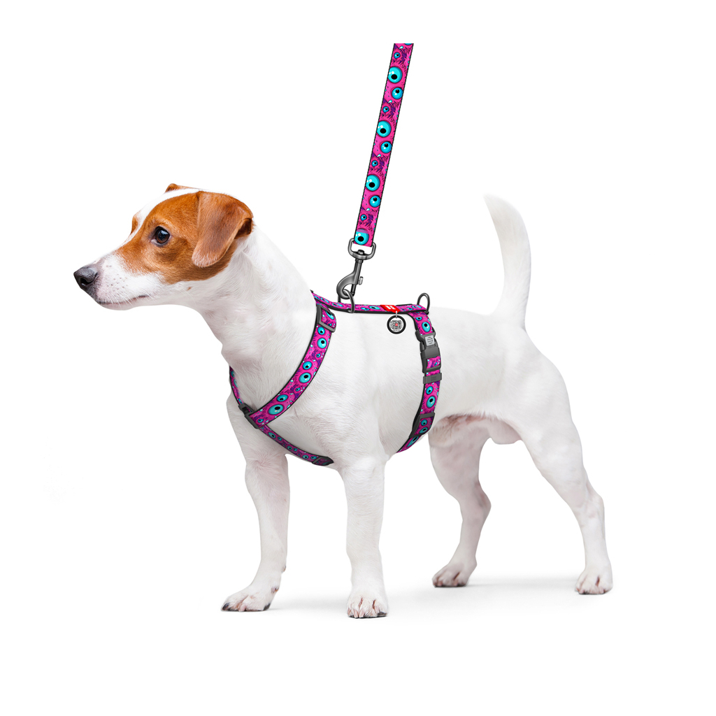 Шлея для собак WAUDOG H-подібна анатомічна Nylon з QR адресником "Око монстра" пластиковий фастекс M (344-4049) - зображення 3