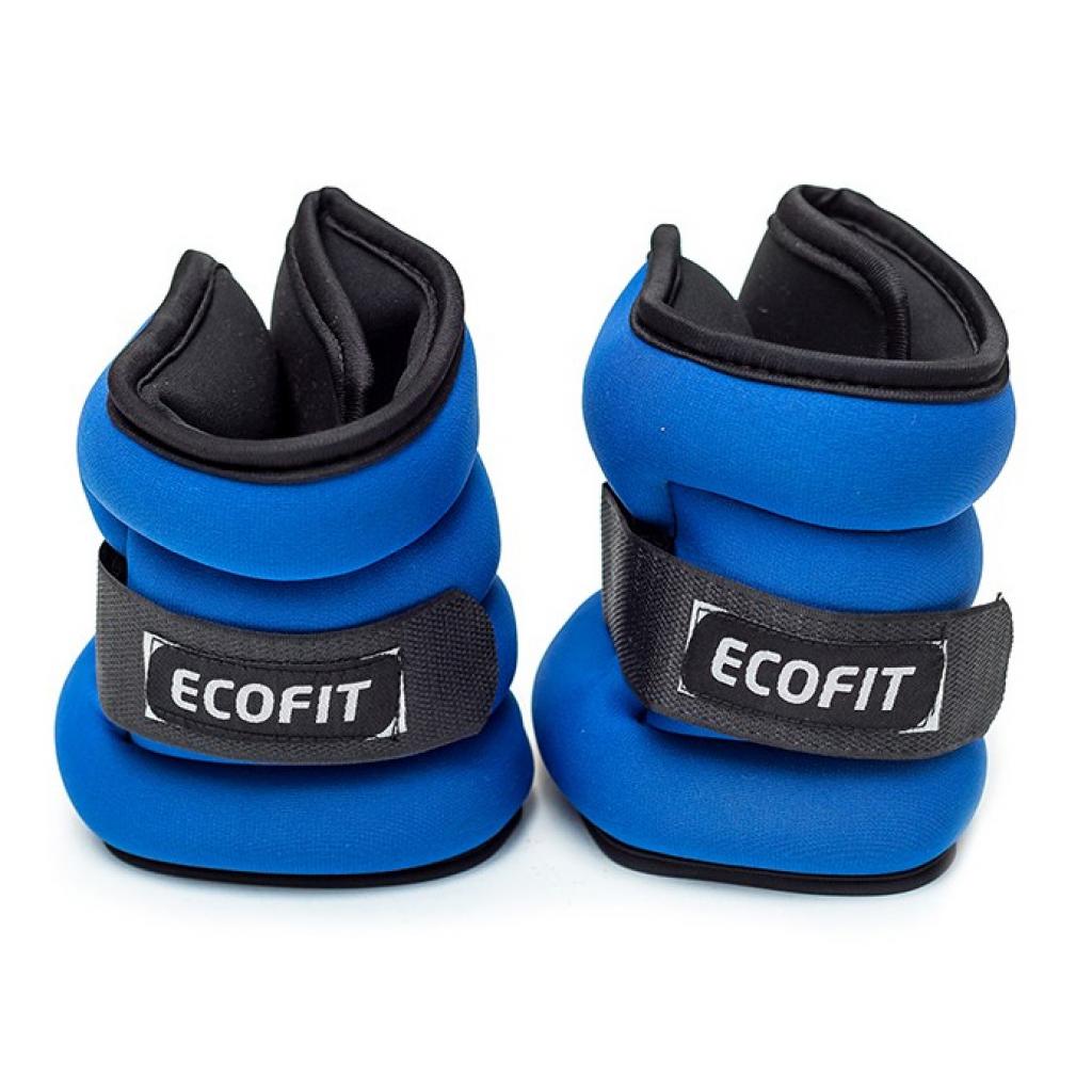 Обважнювач Ecofit MD1624 1 кг x 2 шт (К00016572) - зображення 1