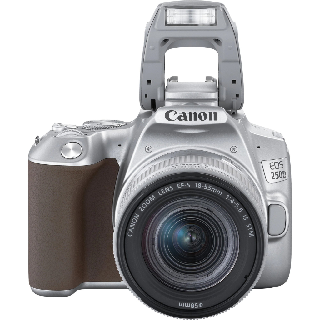 Цифровий фотоапарат Canon EOS 250D kit 18-55 IS STM Silver (3461C003) - зображення 6