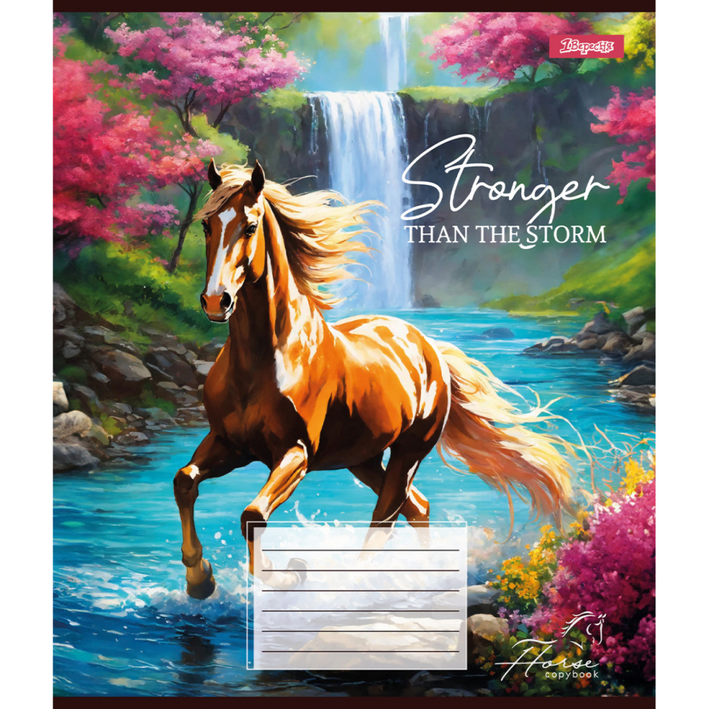 Зошит 1 вересня Stronger than the storm А5 24 аркушів клітинка (767285) - зображення 4