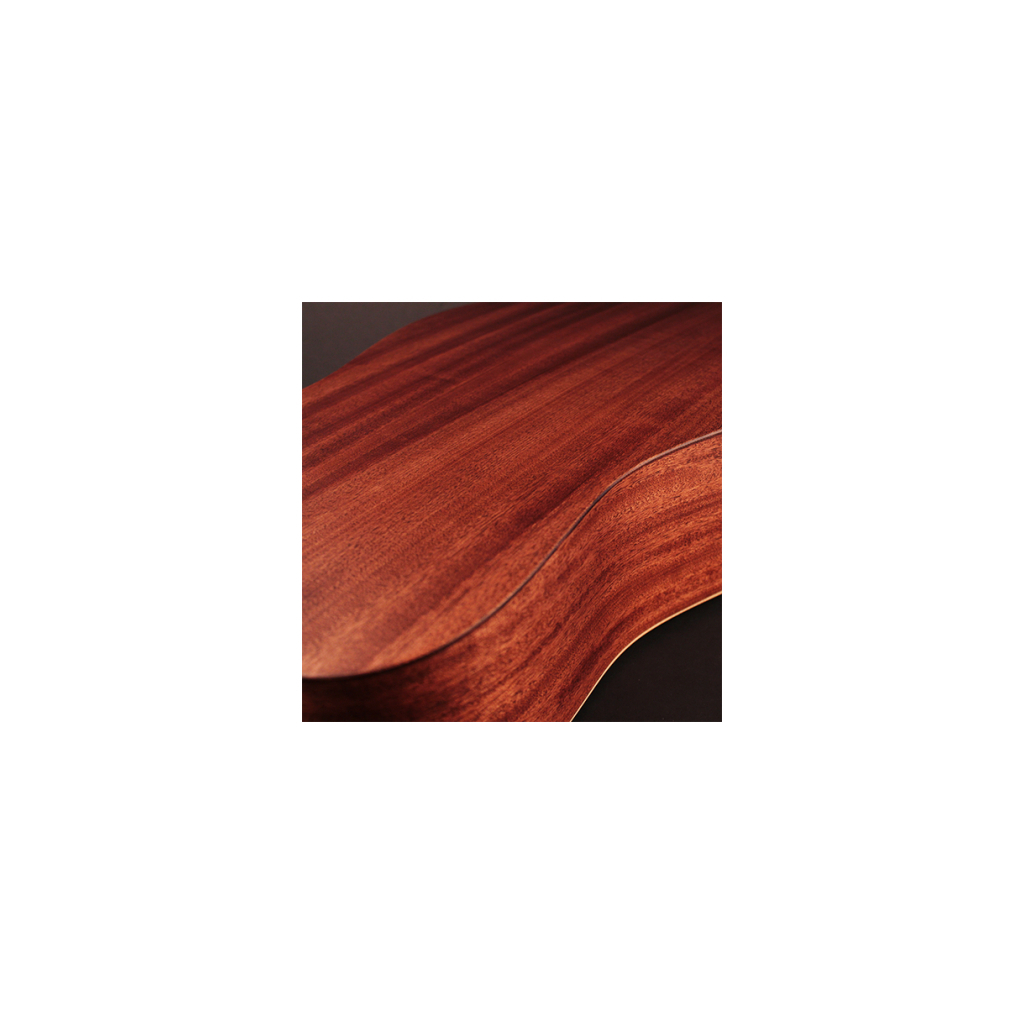Гітара акустична Cort Earth Bevel Cut Open Pore - зображення 7