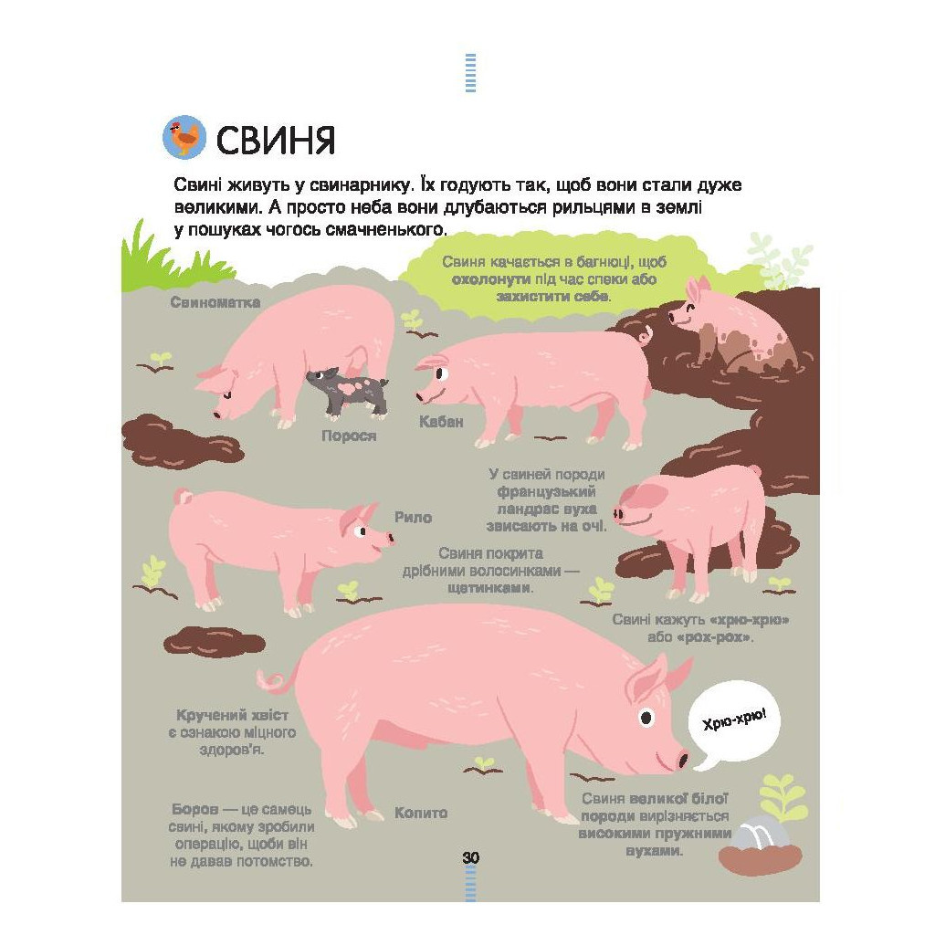 Книга На фермі. Енциклопедія для допитливих - Сесіль Югла #книголав (9786177820382) - зображення 10