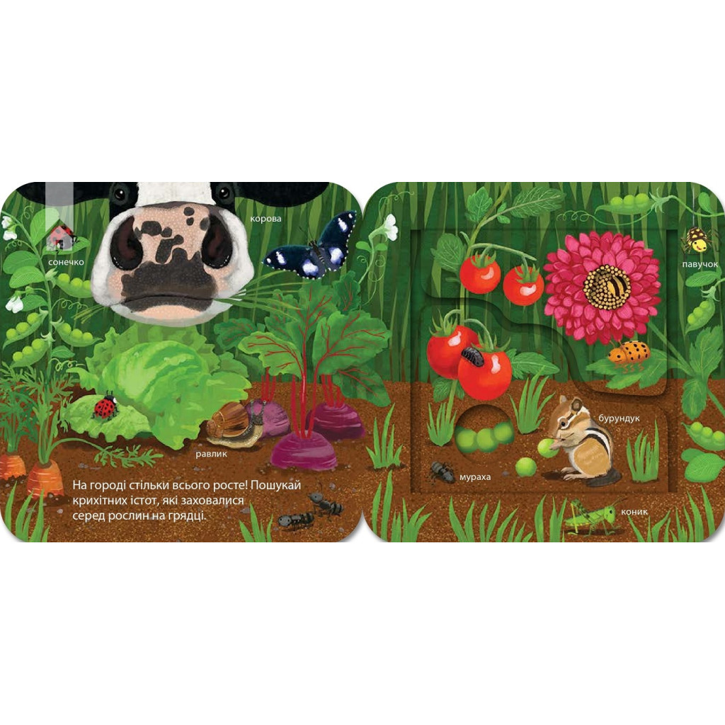 Книга Хто живе на фермі? Зазирни у віконечко - Джей Ґарнетт КСД (9786171502833) - зображення 2